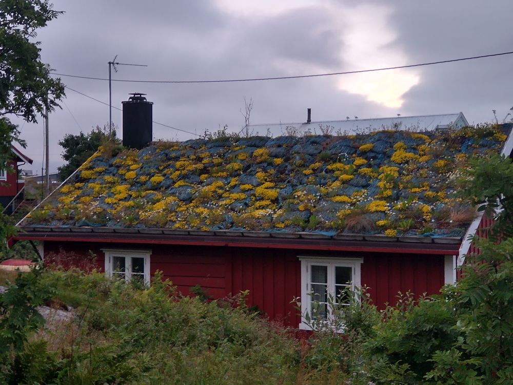 norweski domek w starym stylu